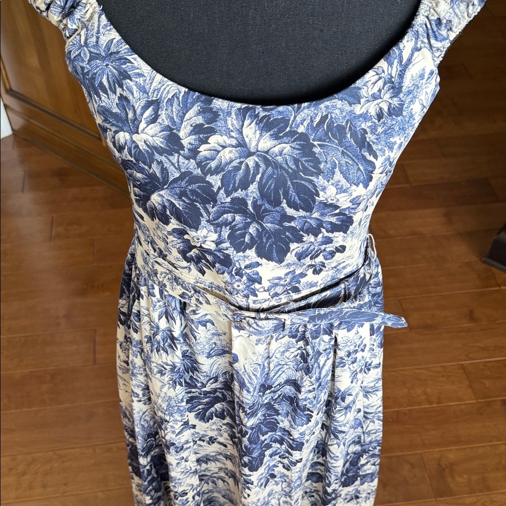 Tuckernuck Blue and White toile  Midi Dress
